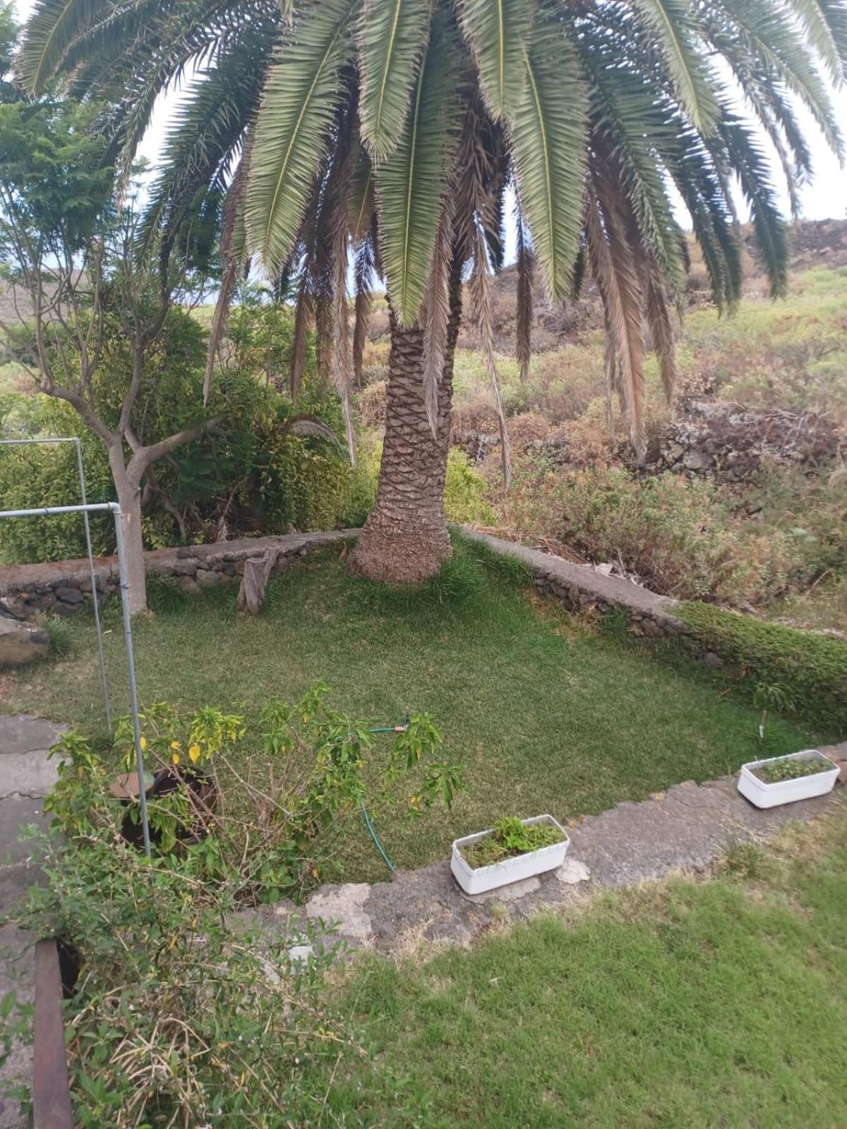 Casa Rural El Olivo De Mazo Exteriör bild