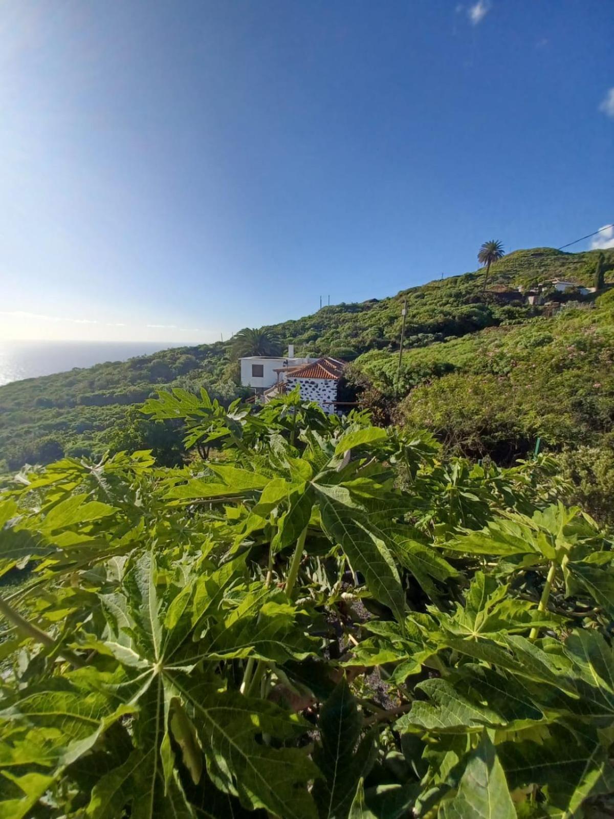 Casa Rural El Olivo De Mazo Exteriör bild